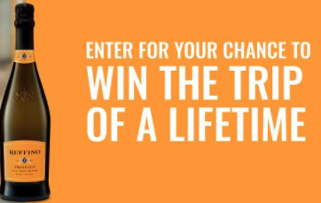 Win A Trip For Two To Anywhere Sweepstakes Official Rules